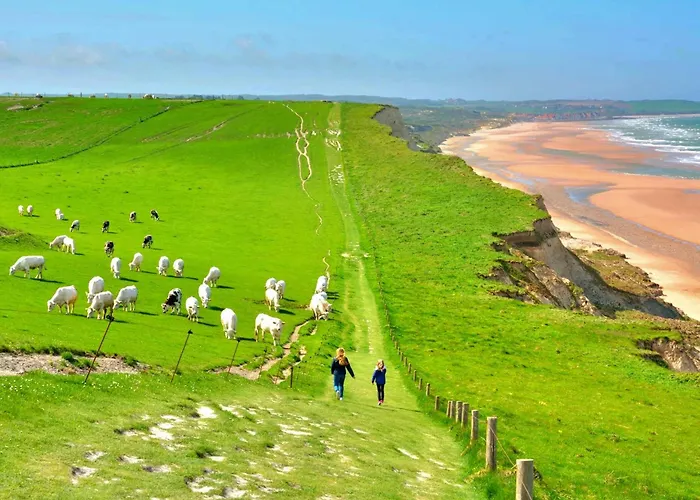 Hortensia De Charme 92 M2 Hyper Centre - Down Town *